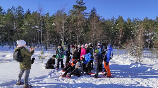 Viinistu Art Harbour Snowshoe Hike in Viru Bog – 27 Feb 2026 – booking fee €20 🎿🎨