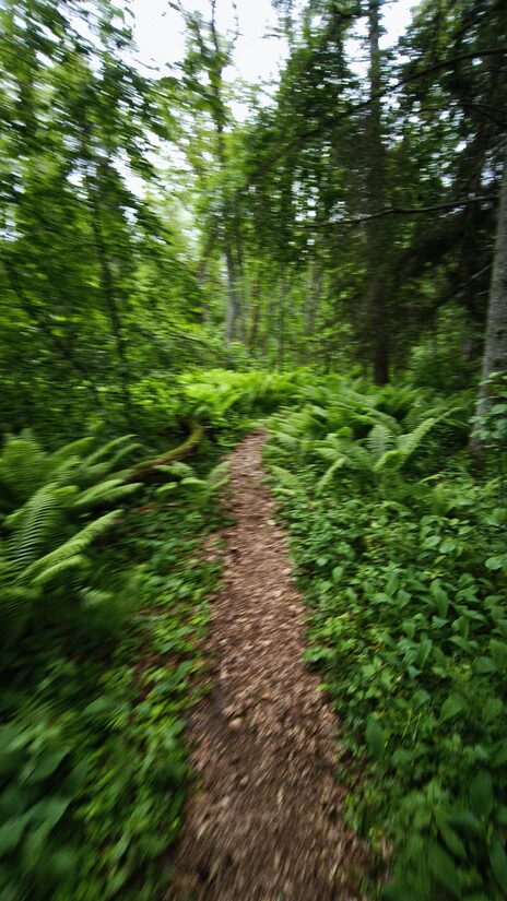 Lahemaapäev, kaitsealade päev, 23. mai matk, Kaberla oja võlud – matk looduse südamesse