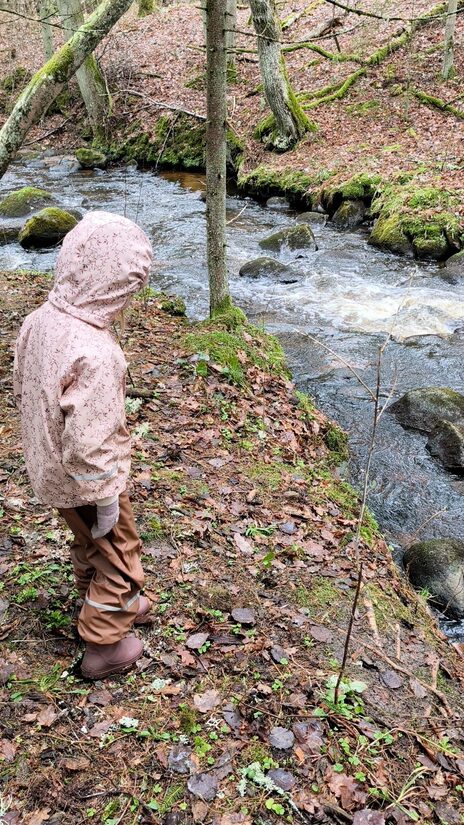 01. mai matk, Kaberla oja võlud – matk, mis viib sind looduse südamesse