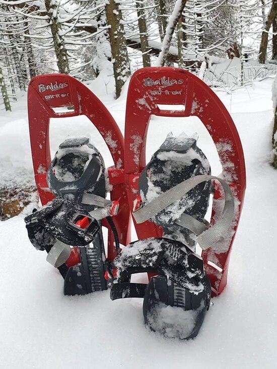 🎿 Laskiaistiistain lumikenkäretki Virun suolla – 17.02.2026 – varausmaksu 20 €