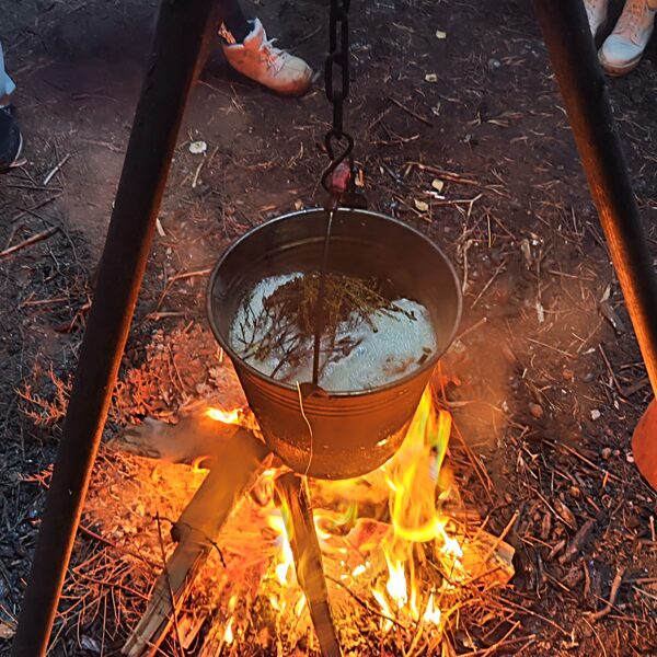 Cooking over a campfire with wild plants found in the forest