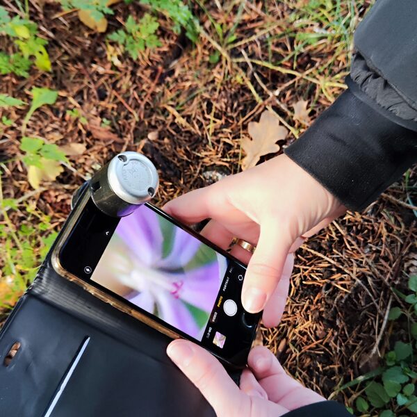 Exploring nature with a cell miicroscope